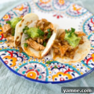 Melt-in-Your-Mouth Chicken Tacos 2 Delicious Braised Chicken Tacos ready to be served