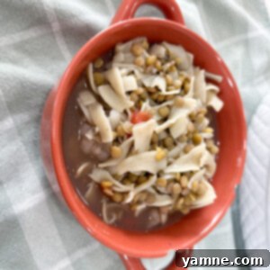 Lentil Pasta Veggie Soup