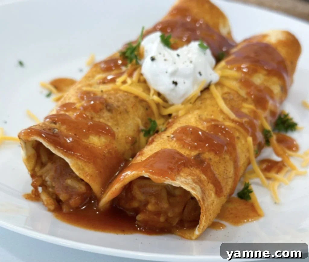 Bean and rice enchiladas with toppings