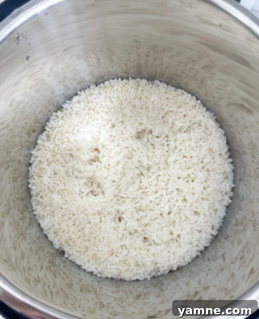 chicken broccoli rice