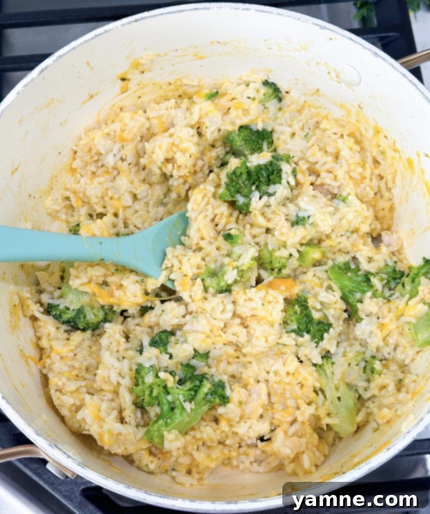 chicken broccoli rice