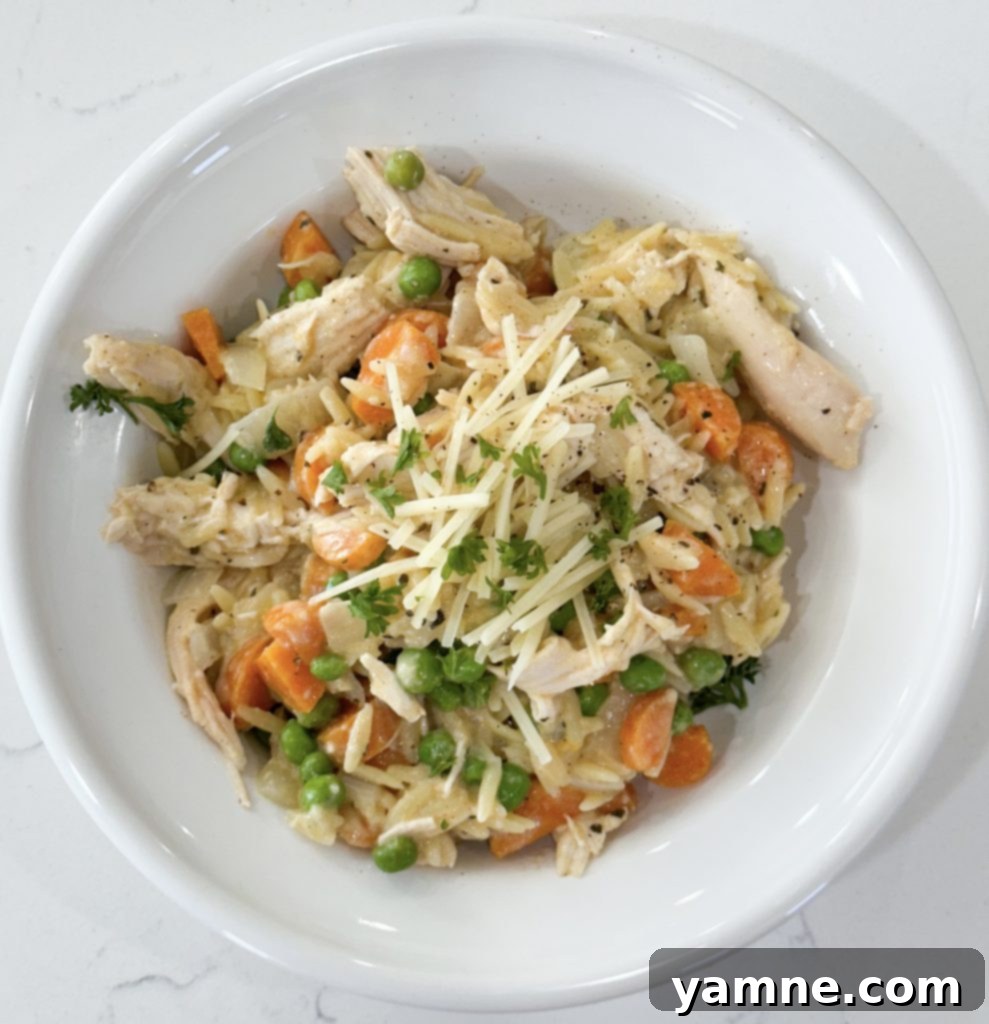 rotisserie chicken with orzo skillet