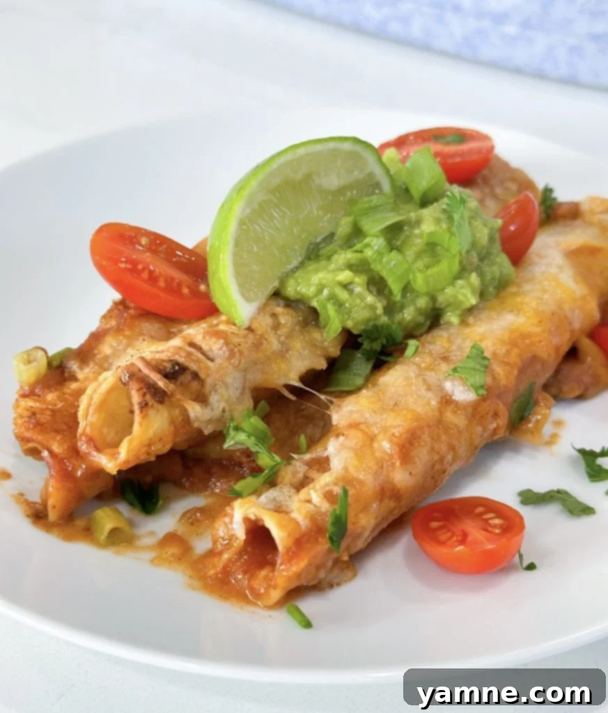 Garnished Dump and Go Taquito Casserole ready to serve