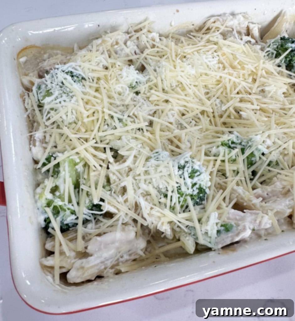 Dump and go garlic chicken pasta casserole