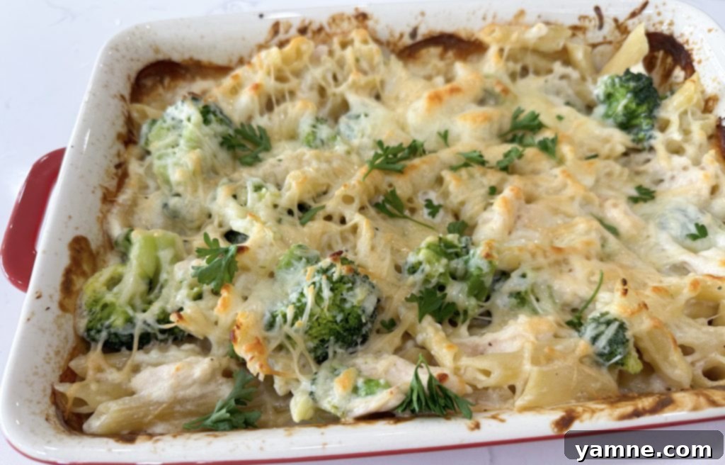 Dump and go garlic chicken pasta casserole