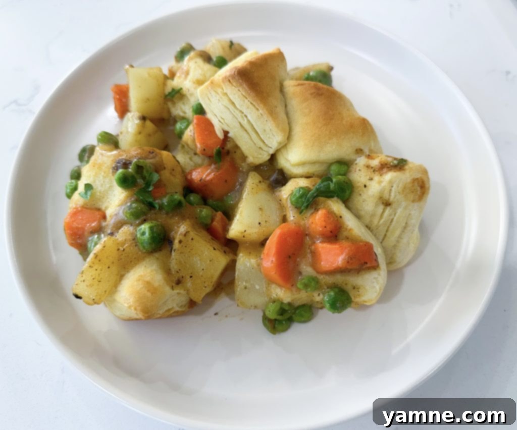 Budget-Friendly Bites: 7 Delicious & Nutritious Meals Under $25 6 Vegetarian Pot Pie