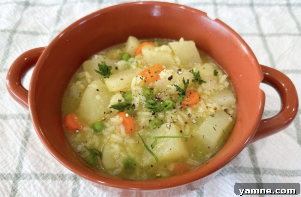 Budget-Friendly Bites: 7 Delicious & Nutritious Meals Under $25 7 Rice Veggie Stew