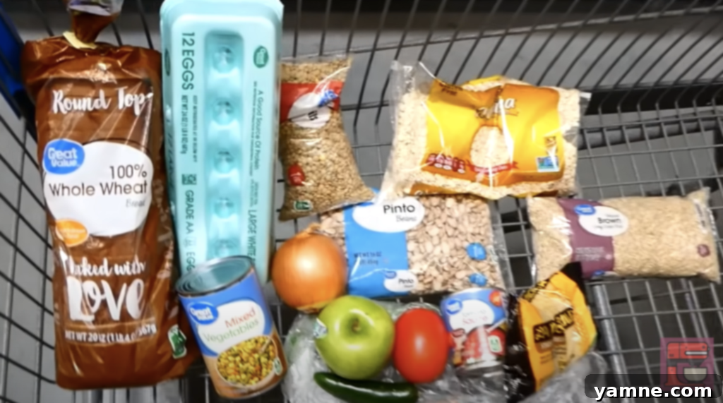 how to live on $1 a day