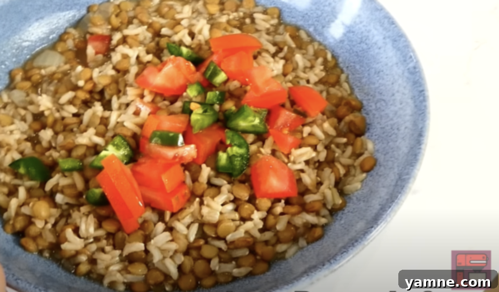 how to live on $1 a day