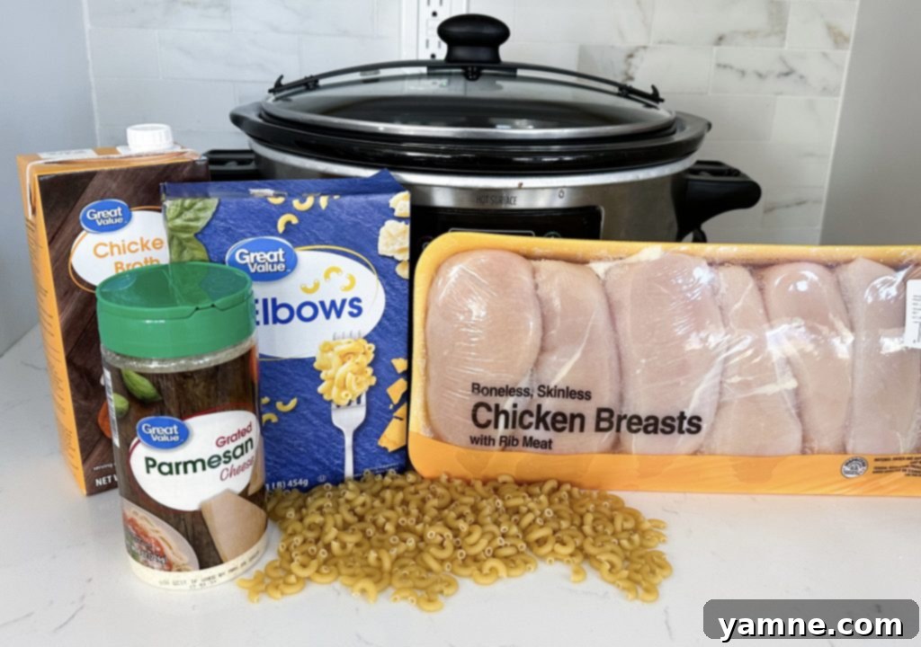 Ingredients for Slow Cooker Italian Chicken Noodle Soup