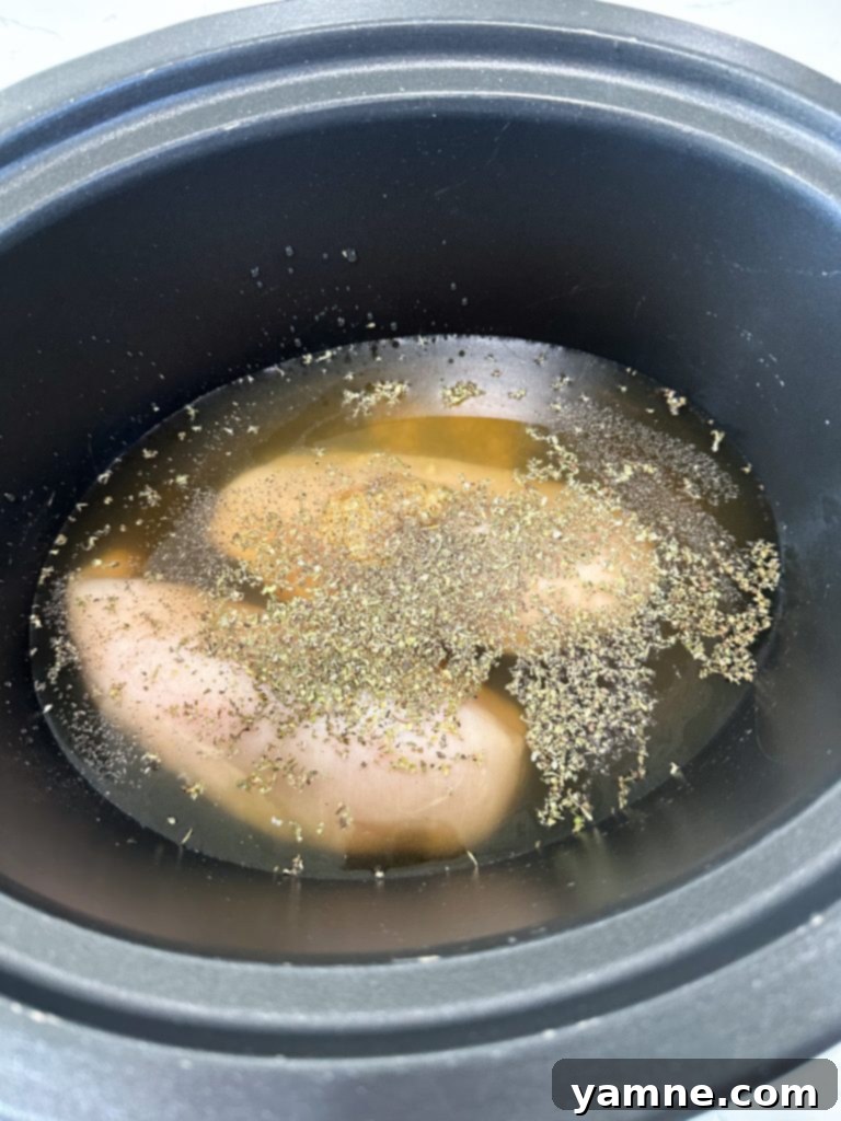 Preparing Slow Cooker Italian Chicken Noodle Soup