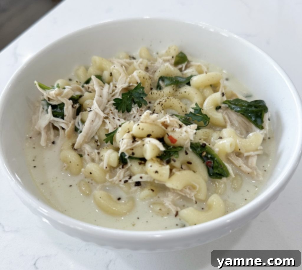 Slow Cooker Italian Chicken Noodle Soup with Parmesan Cheese