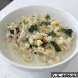 Slow Cooker Italian Chicken Noodle Soup Recipe