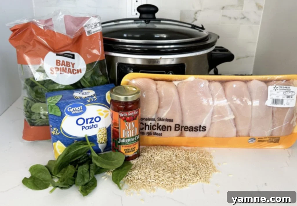 slow cooker chicken and orzo ingredients