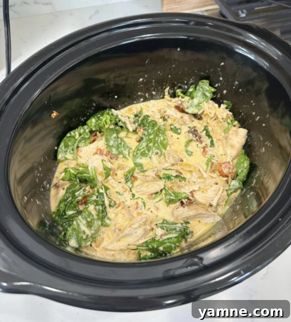 slow cooker chicken and orzo with orzo added