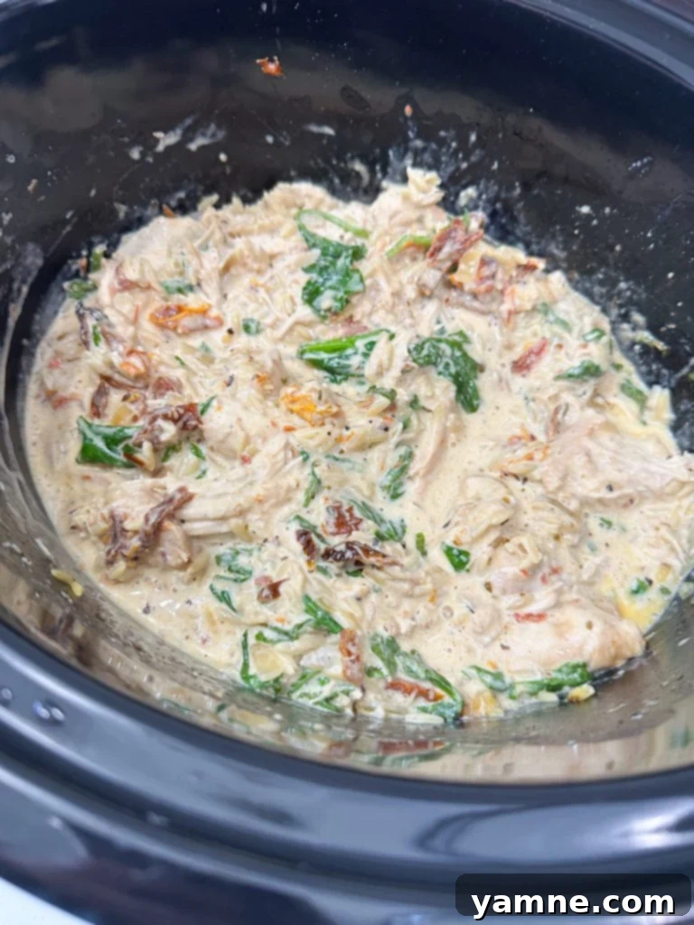finished slow cooker chicken and orzo
