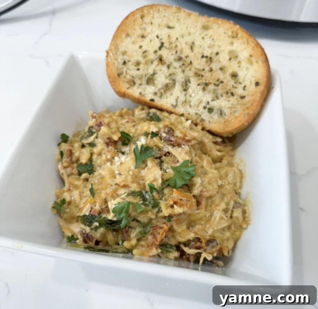 stored slow cooker chicken and orzo