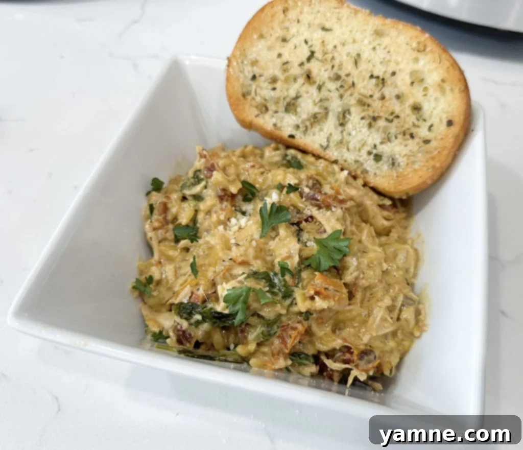 different meat options for slow cooker chicken and orzo