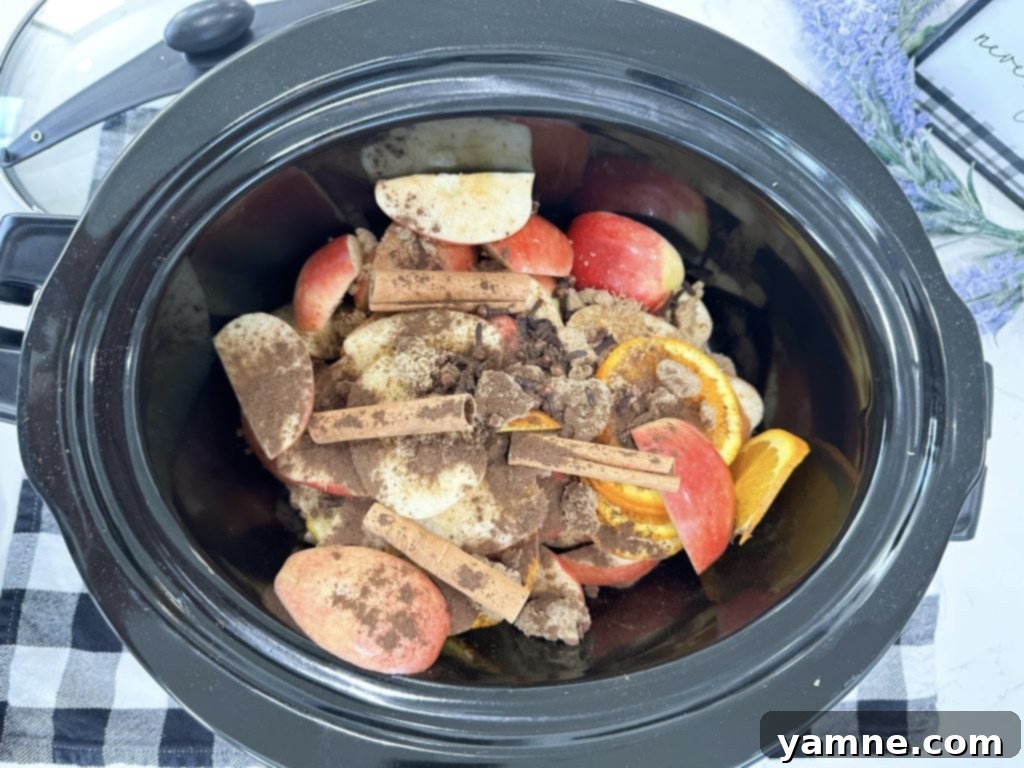 Spiced Apple Cider Simmered to Perfection 3 Ingredients in a slow cooker