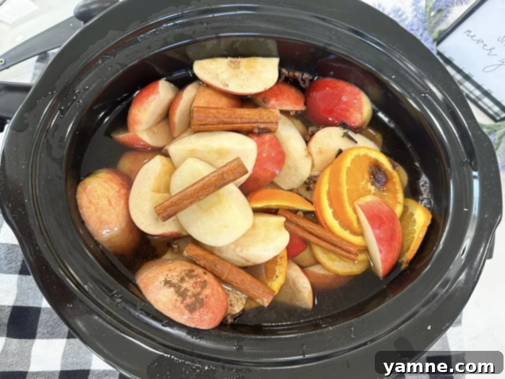 Spiced Apple Cider Simmered to Perfection 7 Variety of add-ins