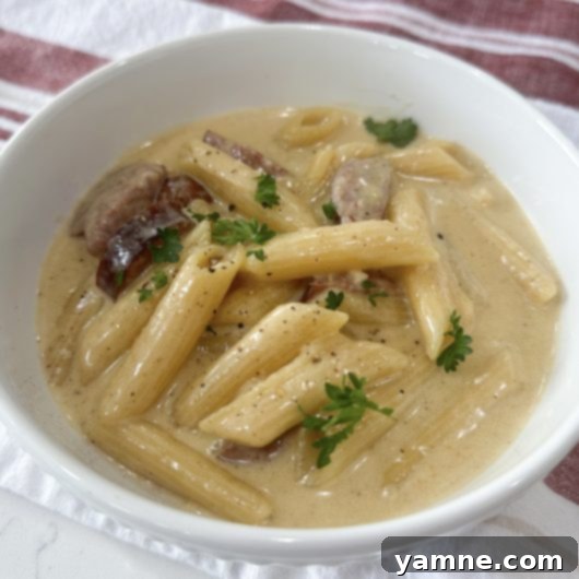 One Pot Cajun Chicken Alfredo