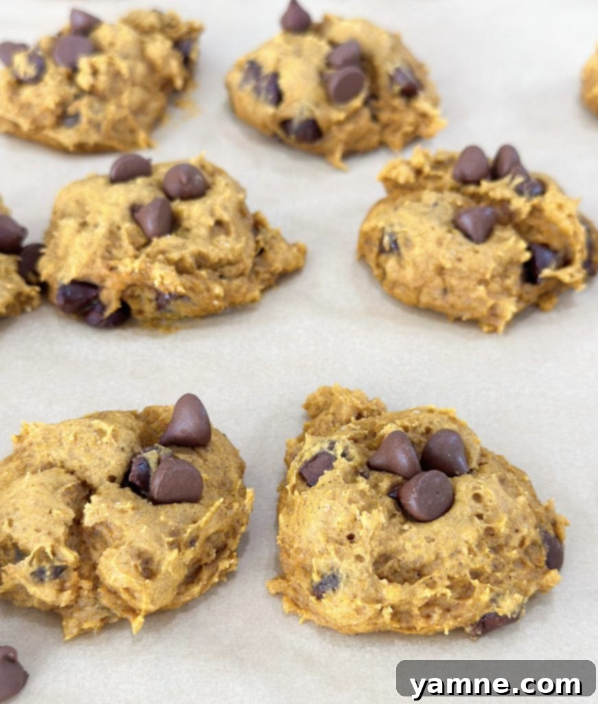3 ingredient pumpkin cookies