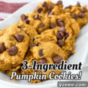 3 ingredient pumpkin cookies