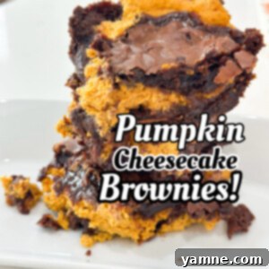 Swirled Pumpkin Cheesecake Brownies 10 pumpkin brownies