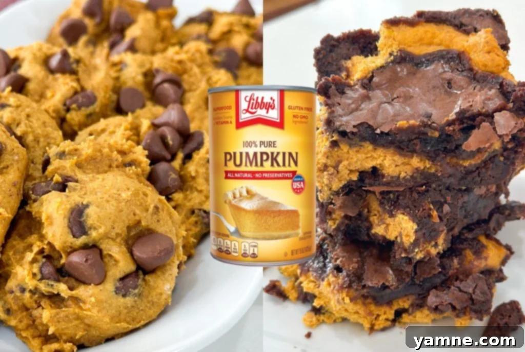 Pumpkin Dessert Perfection 2 A beautiful spread of various pumpkin desserts for fall and holidays