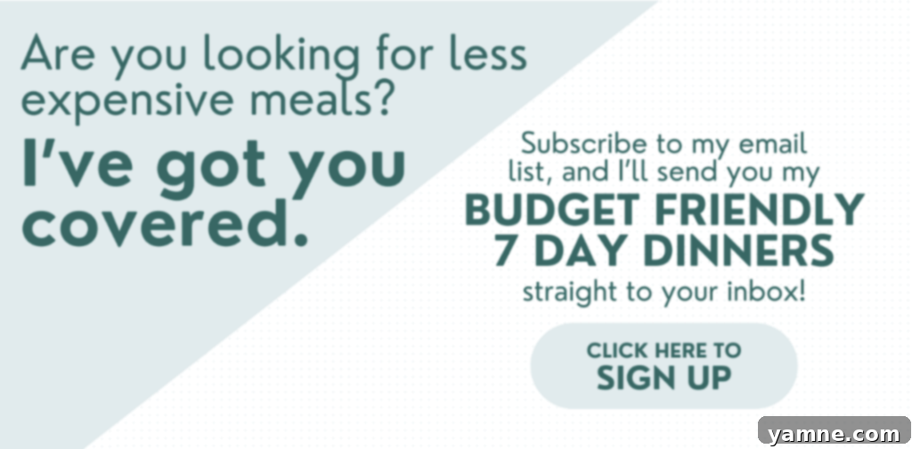 budget friendly dinner recipes