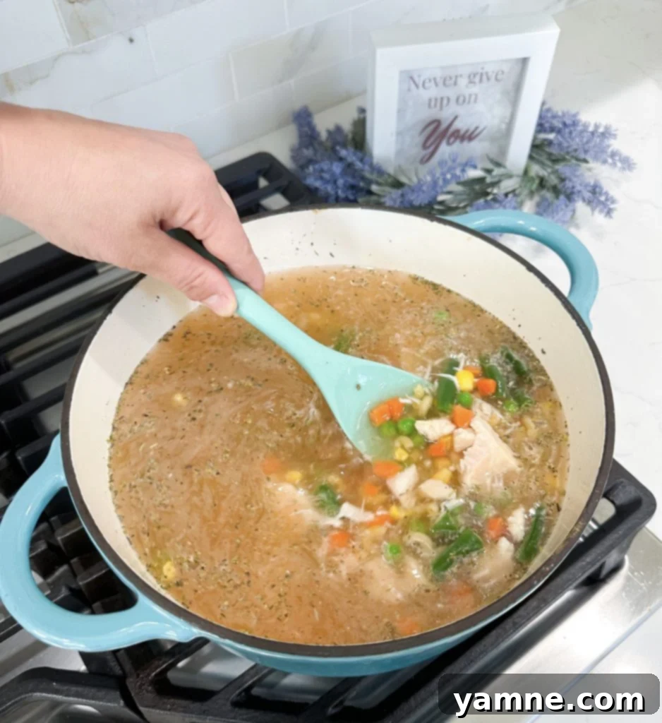 one pot chicken noodle soup