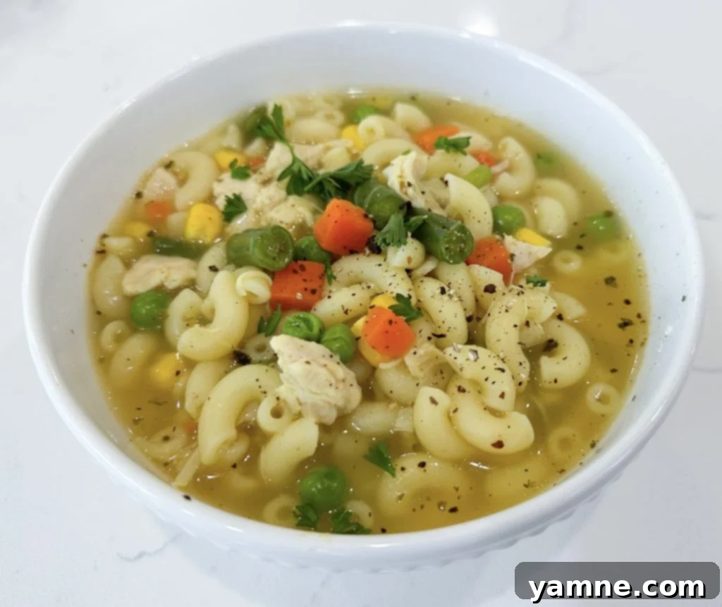 one pot chicken noodle soup