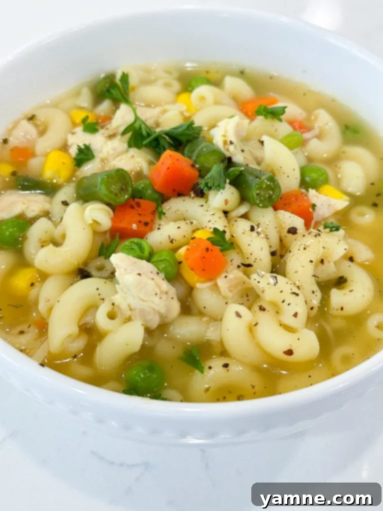 one pot chicken noodle soup