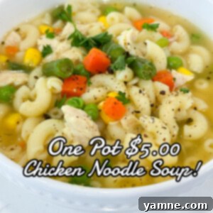 one pot chicken noodle soup