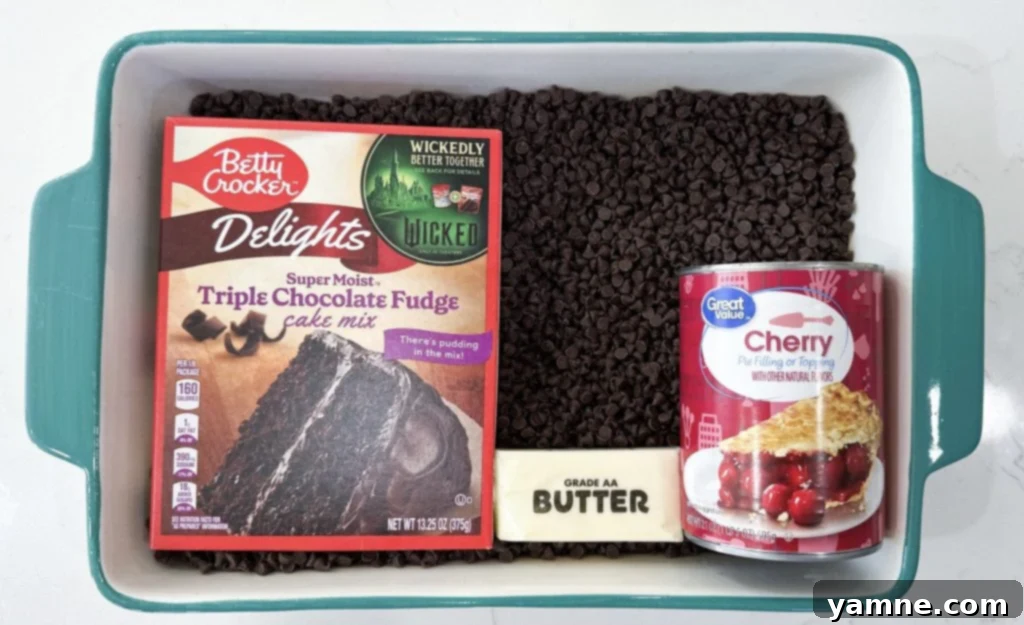 Close-up of Black Forest Dump Cake ingredients arranged neatly