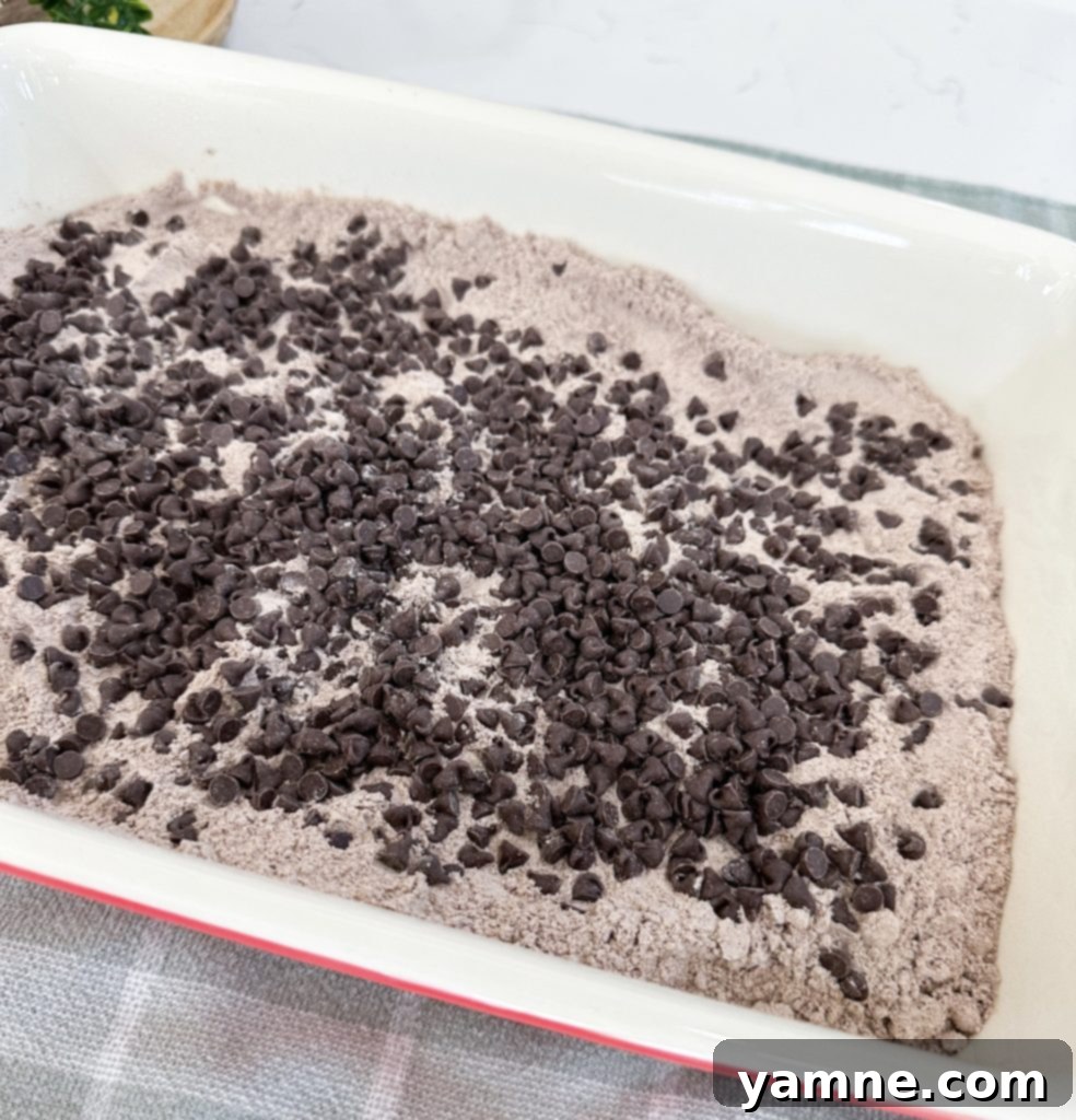 Chocolate chips sprinkled over the dry cake mix