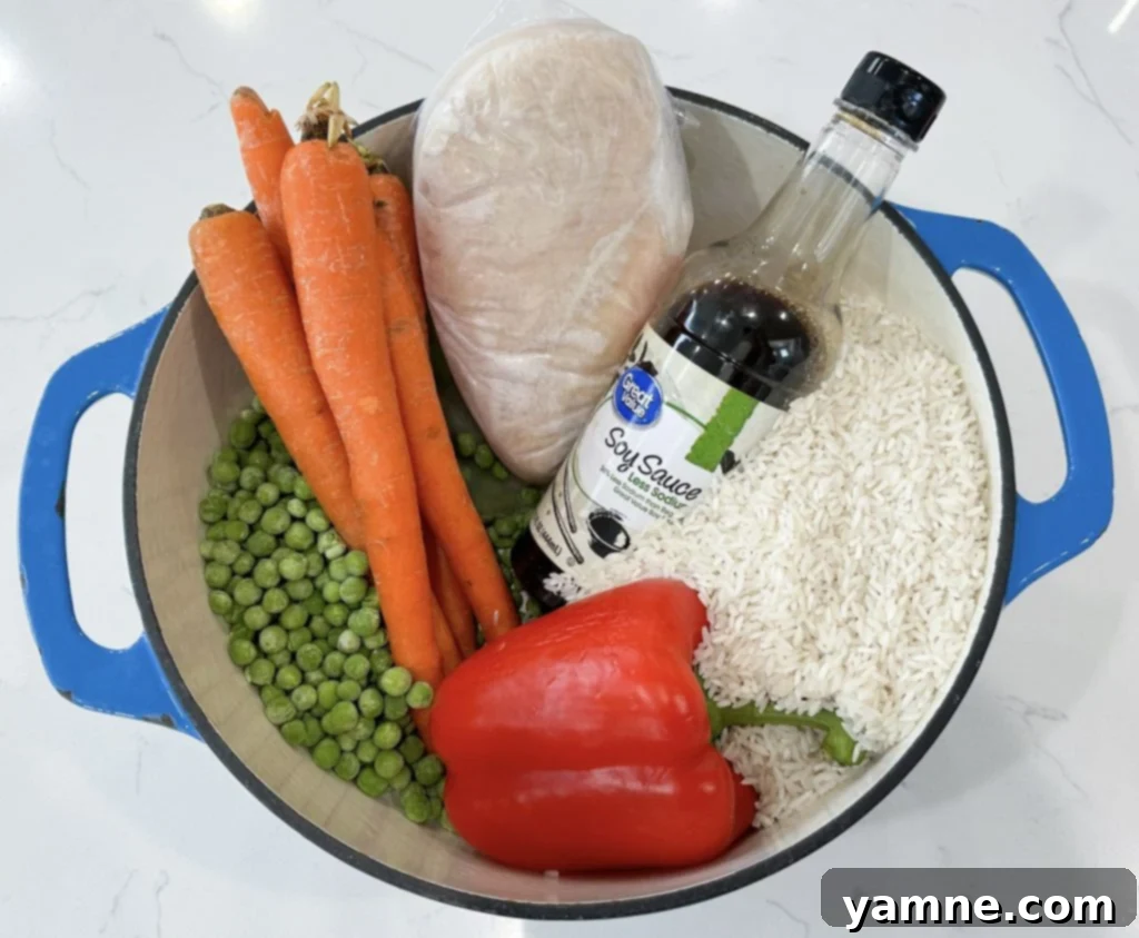 Ingredients for One-Pot Teriyaki Chicken and Rice