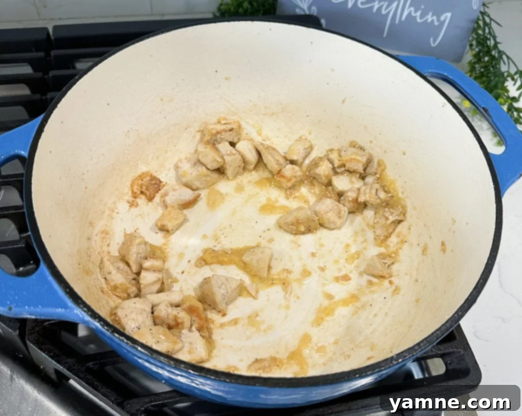 Cooking One-Pot Teriyaki Chicken and Rice