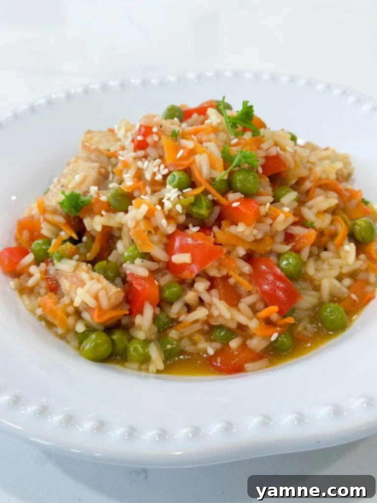 One-Pot Teriyaki Chicken and Rice Cooking Tips