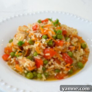 one pot teriyaki chicken and rice