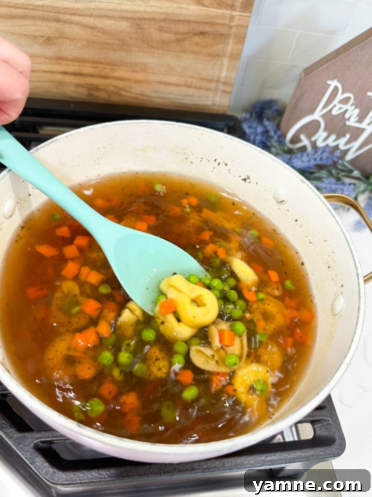 Velvety Tortellini Delight 3 veggie tortellini soup recipe