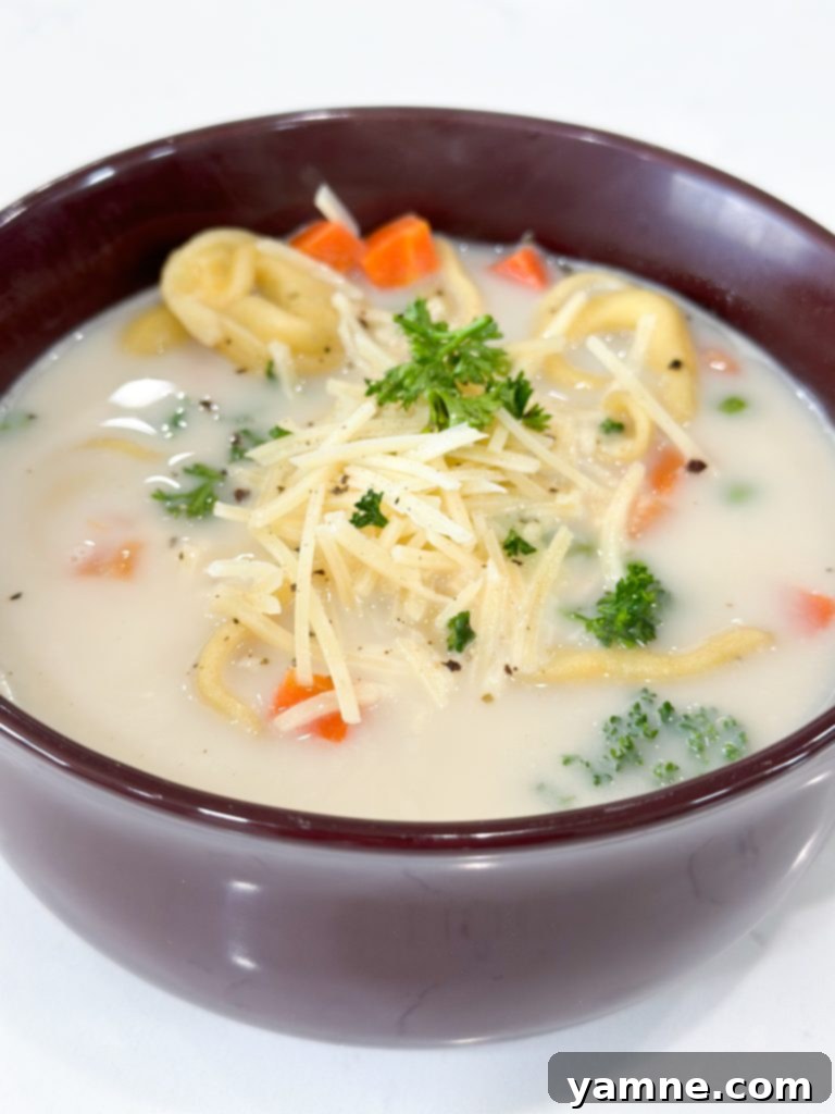 Velvety Tortellini Delight 5 veggie tortellini soup recipe