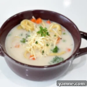 Velvety Tortellini Delight 6 veggie tortellini soup recipe