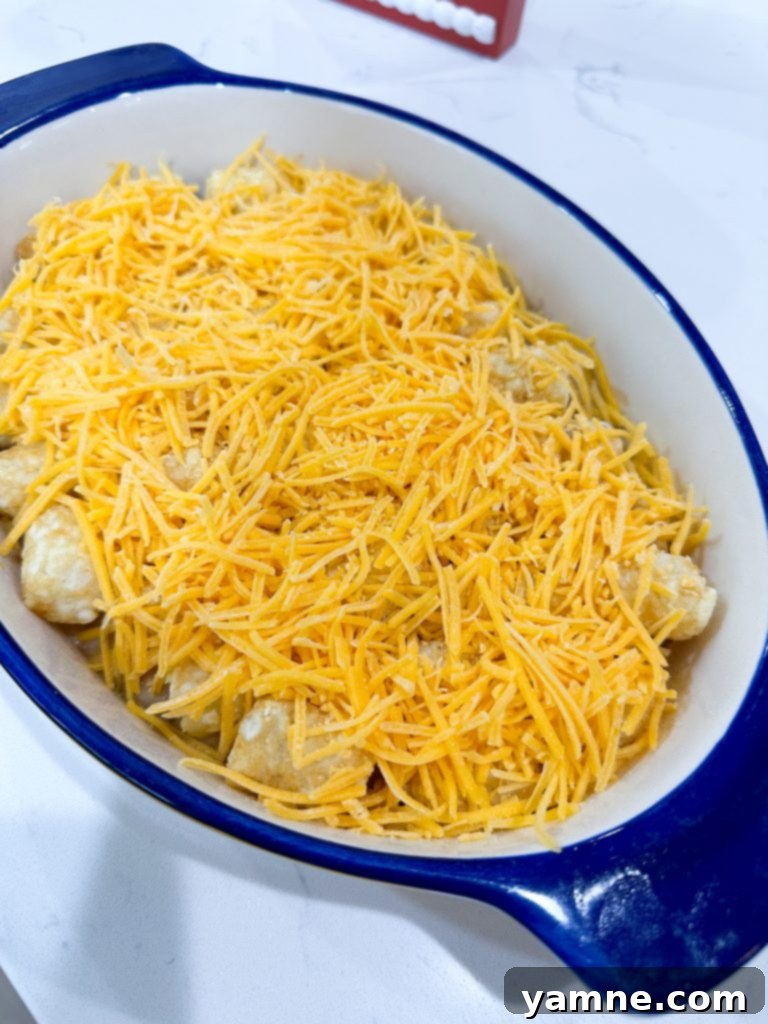 easy tater tot casserole recipe cheese topping