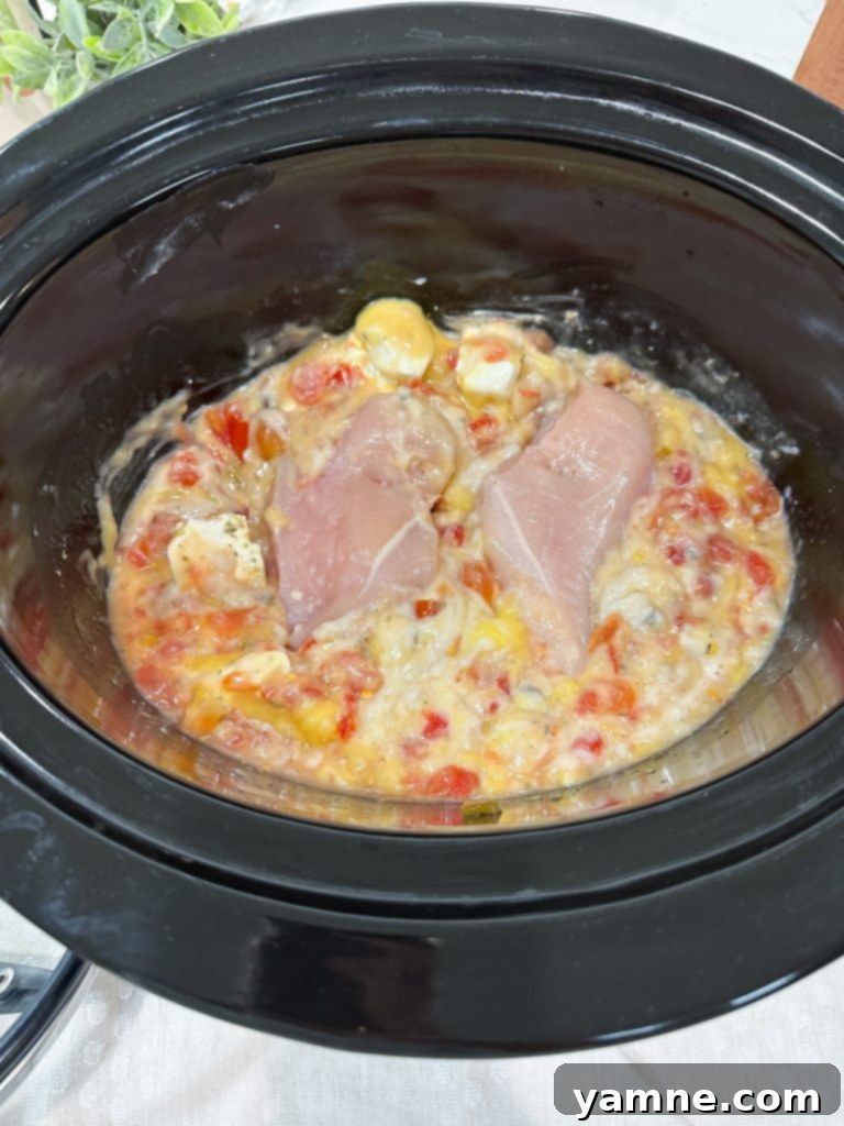 Slow cooker chicken spaghetti in pot