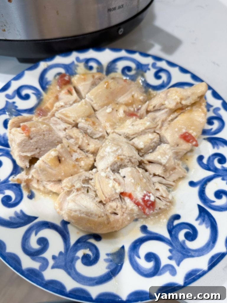 Slow cooker chicken spaghetti after chopping chicken