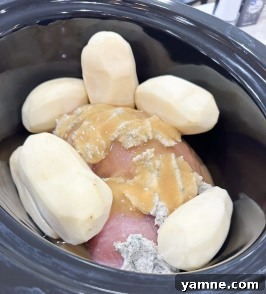 Slow cooker turkey with mashed potatoes being prepared