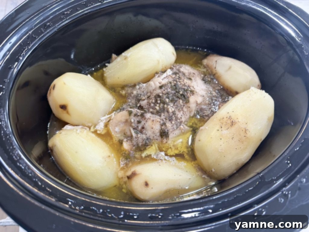 Slow cooker turkey with mashed potatoes cooking