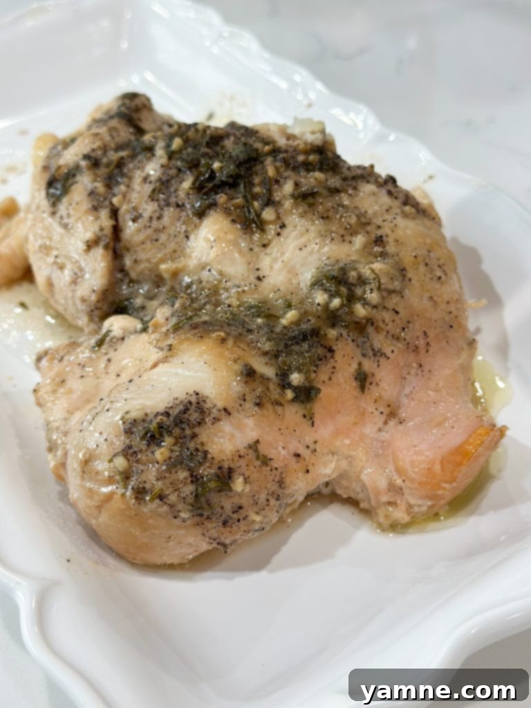 Slow cooker turkey with mashed potatoes plated