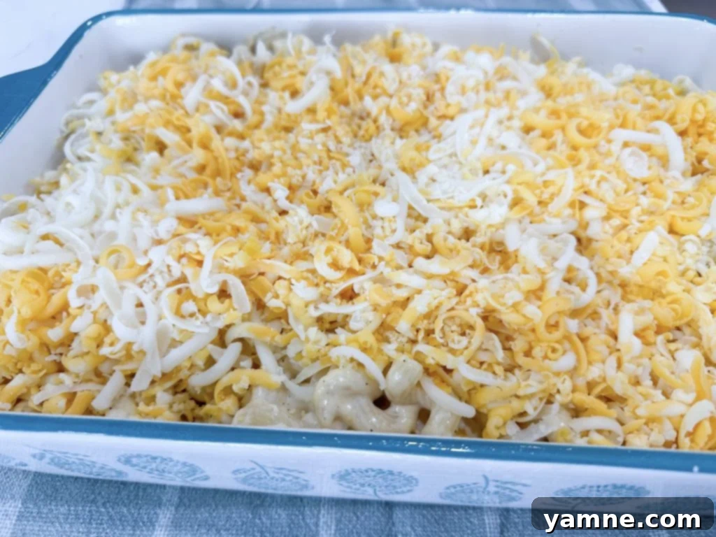 Golden Baked Macaroni Delight 8 easy baked mac and cheese